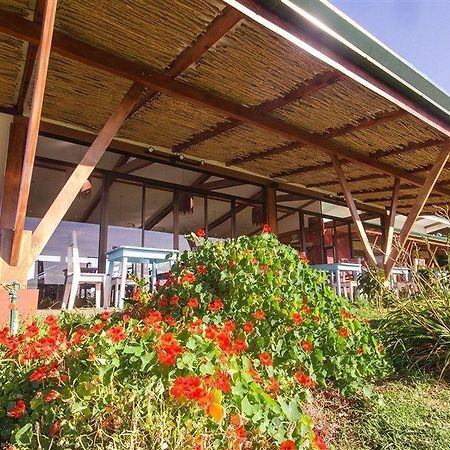 Chayote Lodge Naranjo  Zewnętrze zdjęcie