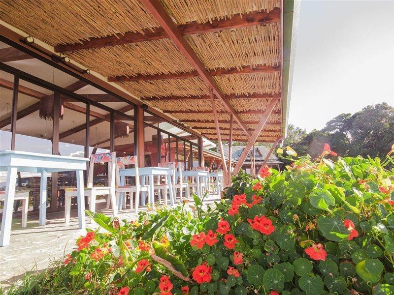 Chayote Lodge Naranjo  Zewnętrze zdjęcie